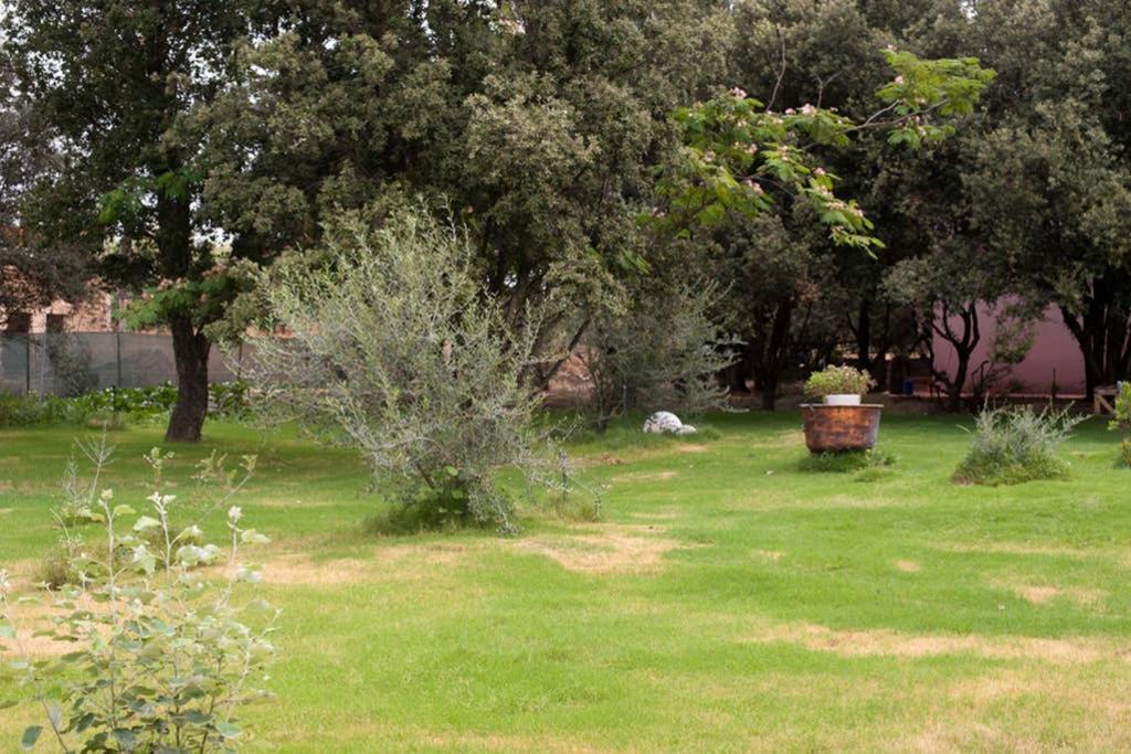 Loft Mansardato Con Giardino E Piscina In Villa Privata Loft With Garden And Swimming Pool In A Private Villa Sestu Eksteriør billede