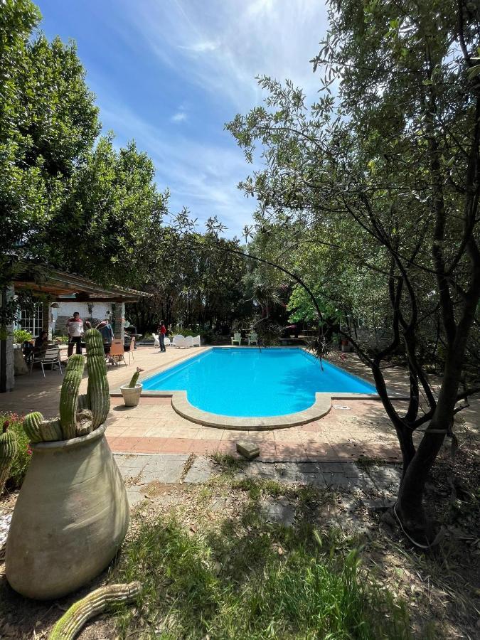 Loft Mansardato Con Giardino E Piscina In Villa Privata Loft With Garden And Swimming Pool In A Private Villa Sestu Eksteriør billede